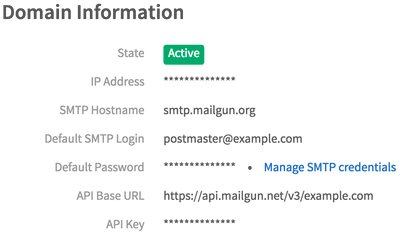 Mailgun domain information section