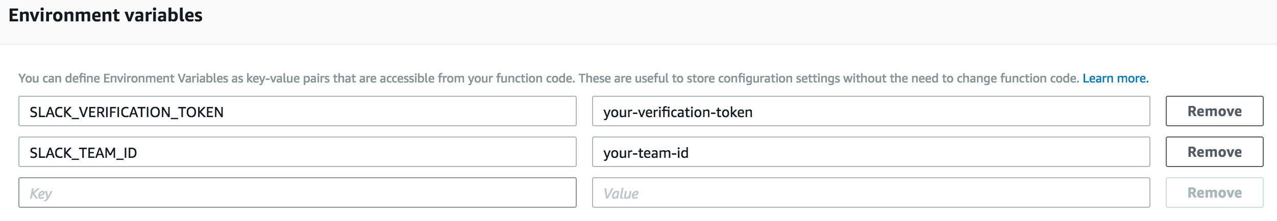 Lambda function environment variables